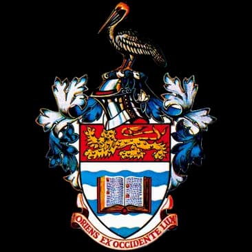 The UWI China Institute of Information Technology